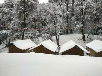 Flycatcher Jungle Camp