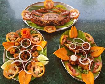 Hotel The Monkey Retreat