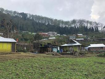 Vamoosetrail Sillerygaon