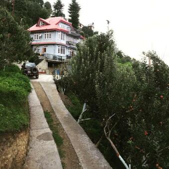 Villa Zostel Homes Kotgarh (shimla)