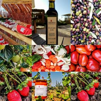 Agroturismo Agriturismo Rosa Antica