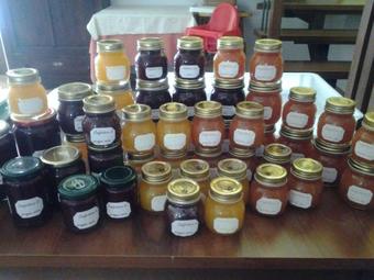 Agroturismo Agriturismo Il Vecchio Portico