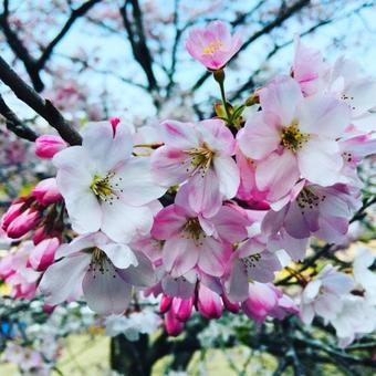 Hotel Hitoyoshi Onsen Ohgano Yado