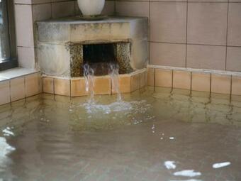 Ryori Ryokan Shikanoyu