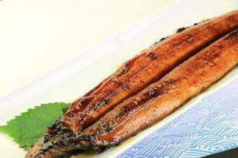 Business Hotel New Iizuka