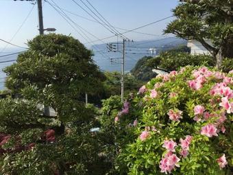 Japan Countryside Atami