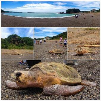 Hostal Gongendaira Cafe