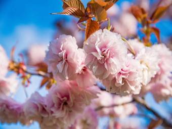 Amakusa Prince Hotel