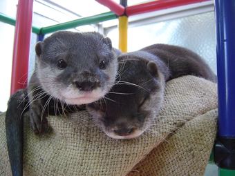 Yukai Resort Seiunkaku
