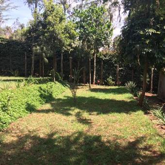 Hostal Jari Inn And Bistro