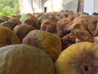 Agroturismo Village House Vrelo