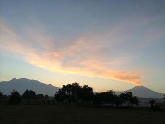 Hotel Hacienda San Andr�s