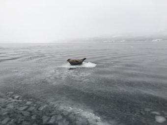 Jarfjord Arctic Aurora Lodge