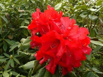 Bed & Breakfast Tarata