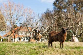 Corbett House Bed & Breakfast