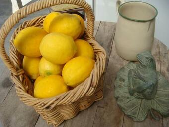 Woolshed Bed & Breakfast