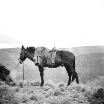 Ancient Briton Hotel