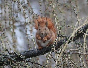 Hotel Modrzewi�wka