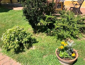 Hostal Casa Altringen