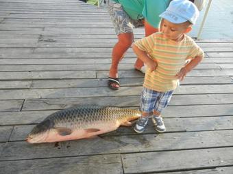 Hostal Pension Paradise Delta House