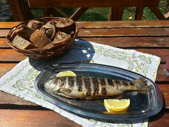 Apartment Grada?ka Banja