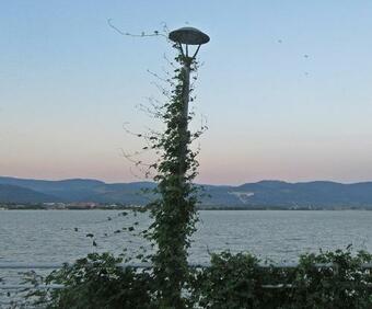 Hostal Guest House Keserovic