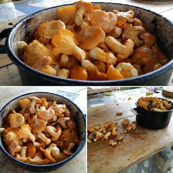 Lodge Staparski Sorrento