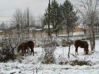 Hostal Guest House Derevnya Vanino