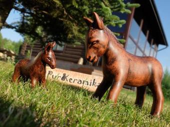 Posada Purshevskie Dali