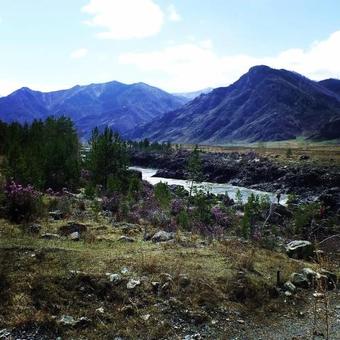 Posada Ostrov V Edigane