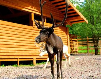 Agroturismo Baza Otdyha Borodinskoye