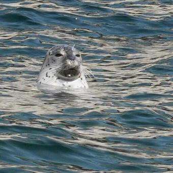 Hostal Guest House Dem Club