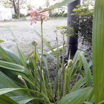 Aparthotel The One Place Apartment