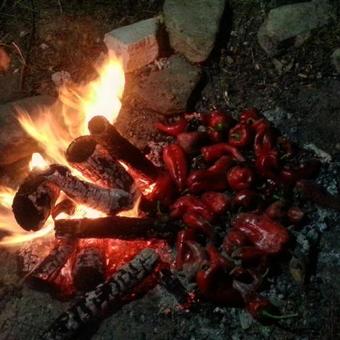 Agroturismo K�y Evi Country House