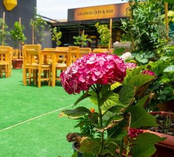 Galenos Hotel