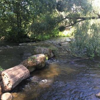 Bed & Breakfast ?????? �???????�