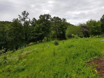 Hostal Fazenda Kosiv