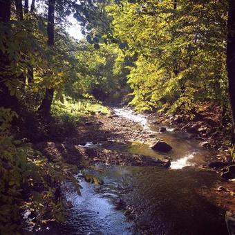 Hotel Bogolvar Eco Resort & Spa