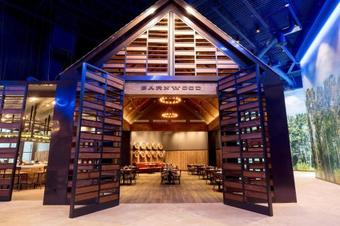 Hotel Great Wolf Lodge Chicago/gurnee