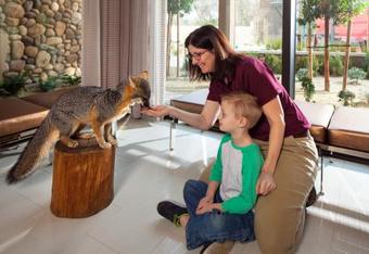 Sheraton Redding Hotel At The Sundial Bridge