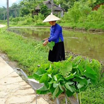 Xoi Farmstay - Eco Homestay In Yen Bai Ha Giang