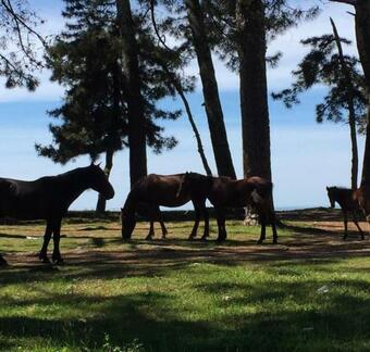 Apartamento ???????? ? ?????????