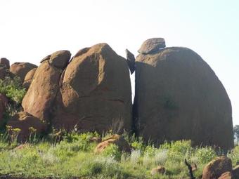 Agroturismo Woolly Bugger Farm