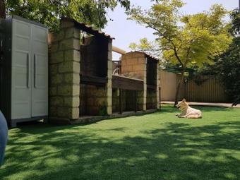 Lodge Green Dream Zimmer