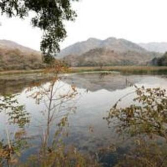 Ghanerao Jungle Lodge