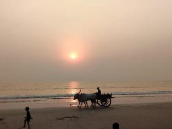 Bed & Breakfast Shree Villa Holiday Homes