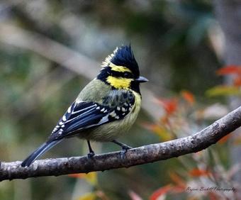 Samskara & Samsara Resort