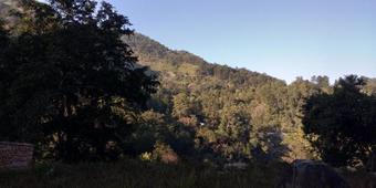 Sidhbali Resort "flavours- A Family Restaurant"