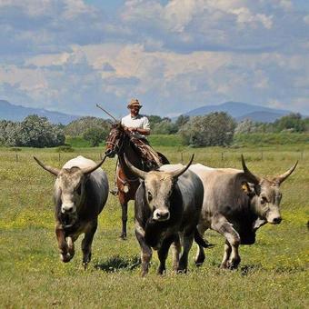 Agroturismo Casale Di Vulci