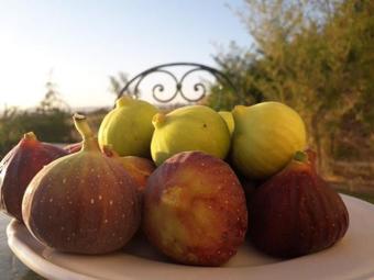 Agroturismo Agriturismo Moschella